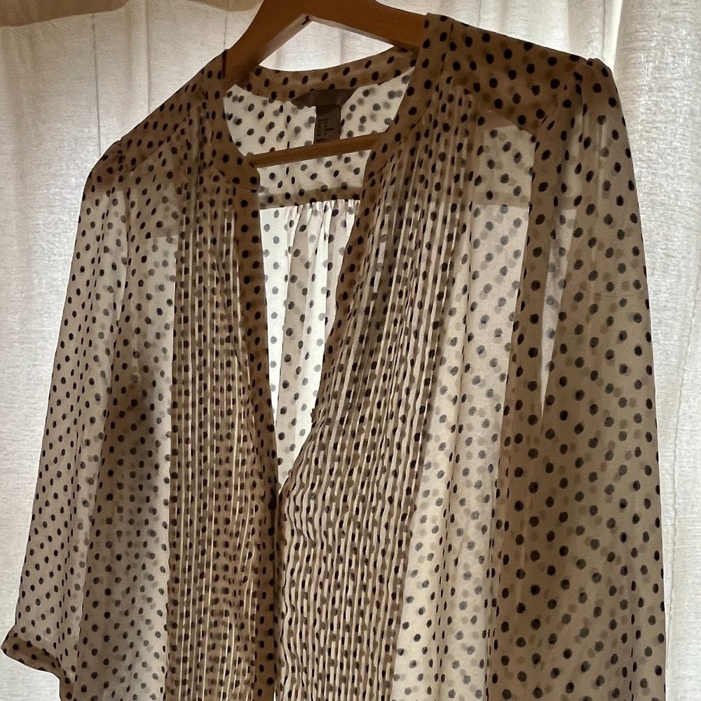 H&M Sheer polka dot blouse, size 12